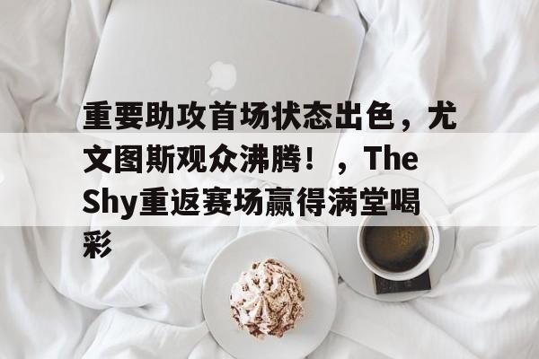 包含重要助攻首场状态出色，尤文图斯观众沸腾！，TheShy重返赛场赢得满堂喝彩的词条九游